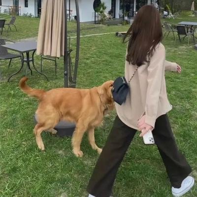 波丽士很忙